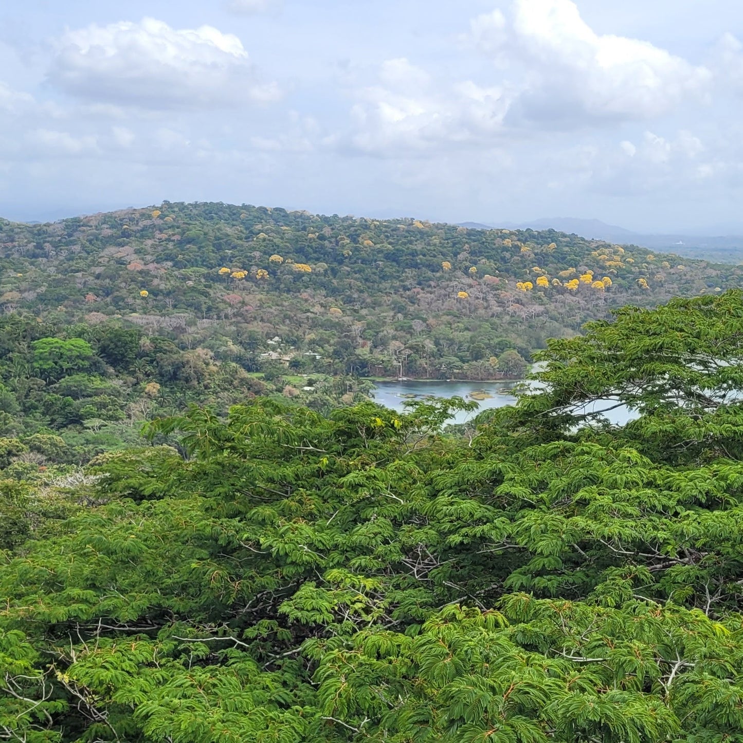 Lush green landscape with trees and a body of water in the distance under a cloudy sky.