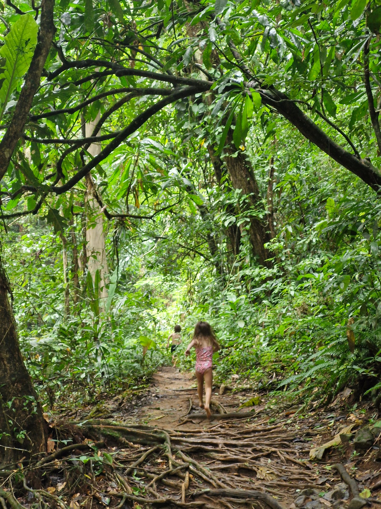 Tour de la tribu Embera