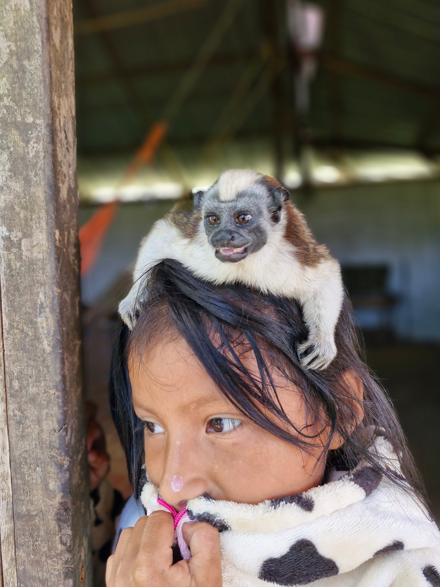 5 Days Isolated indigenous community Adventure