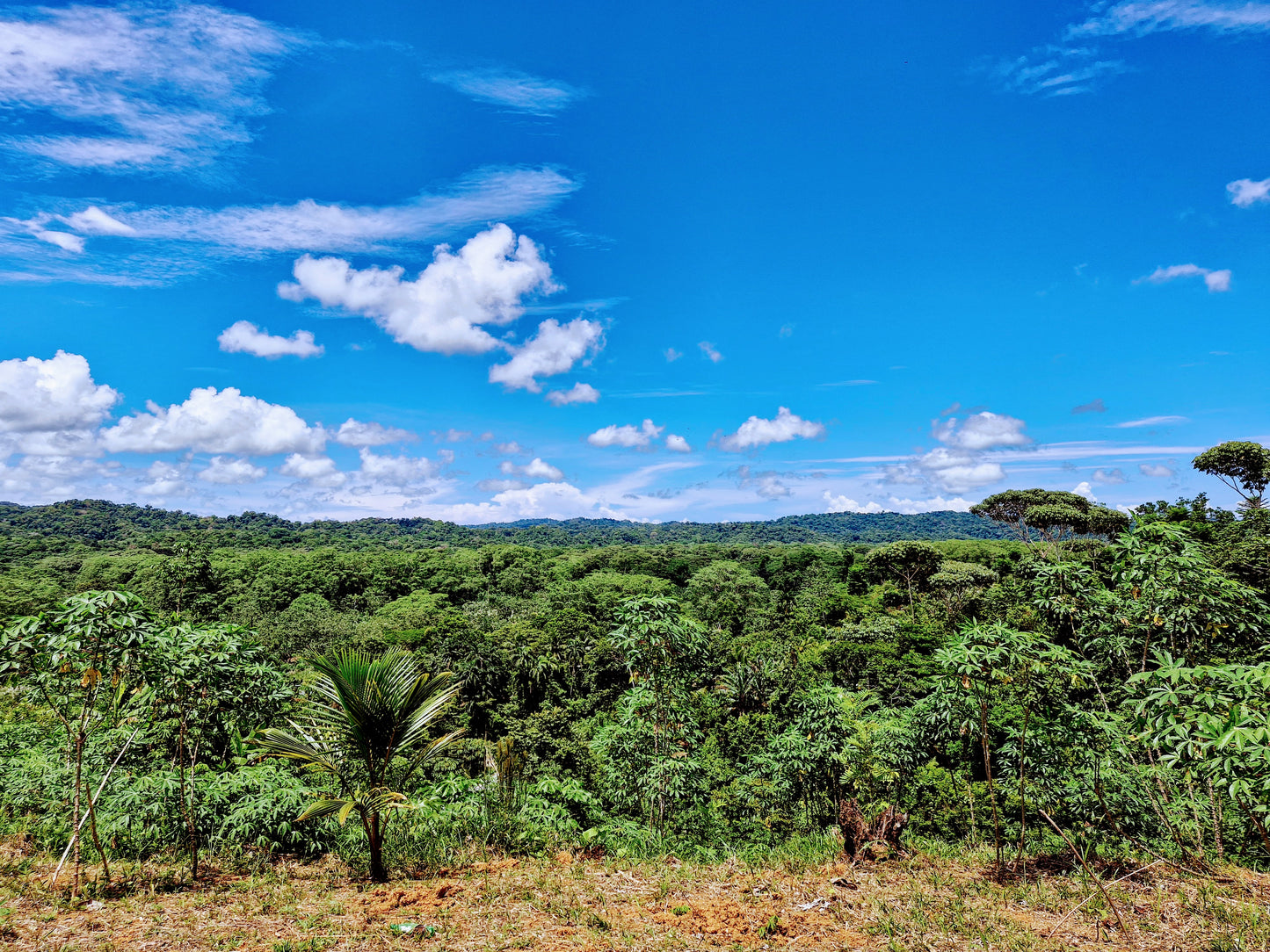 5 Days Isolated indigenous community Adventure