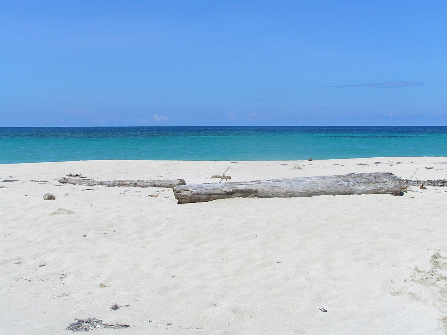 Isla Zapatilla day tour