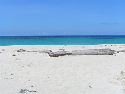 Isla Zapatilla day tour