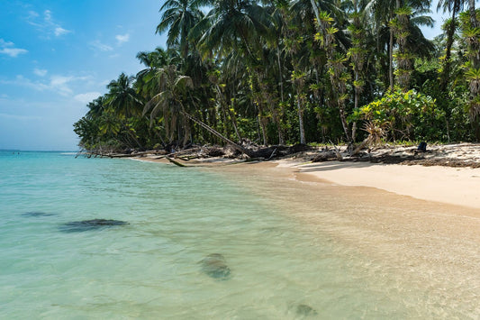 Isla Zapatilla day tour