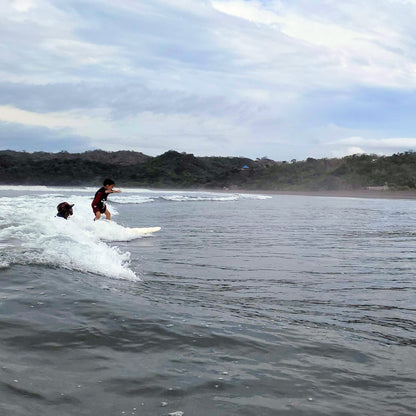 Private SUV transportation Panama City - Playa Venao