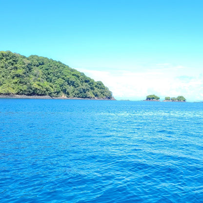 A scenic view of a tropical island with lush green forested hills rising out of deep blue ocean water under a bright blue sky with light clouds.