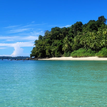 A tropical beach scene with clear turquoise water, a narrow white sand shoreline, dense green palm forest, and a bright blue sky with a few wispy clouds.