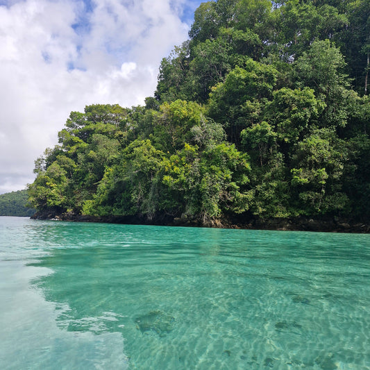 Clear turquoise water in the foreground with a dense green forested island shoreline under a blue sky with white clouds.