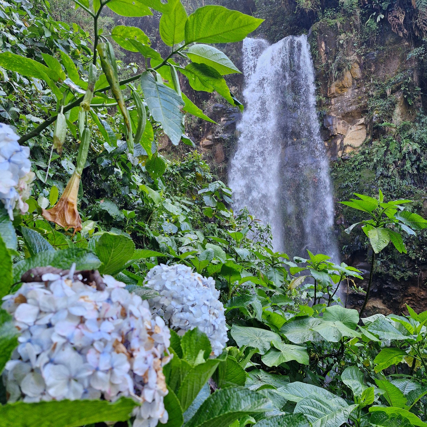 Boquete - The Lost Waterfalls