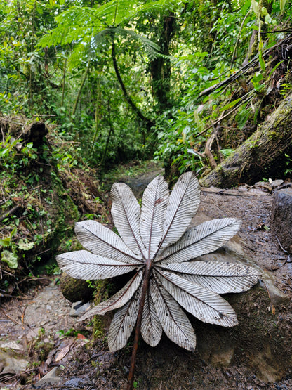 Boquete - The Lost Waterfalls