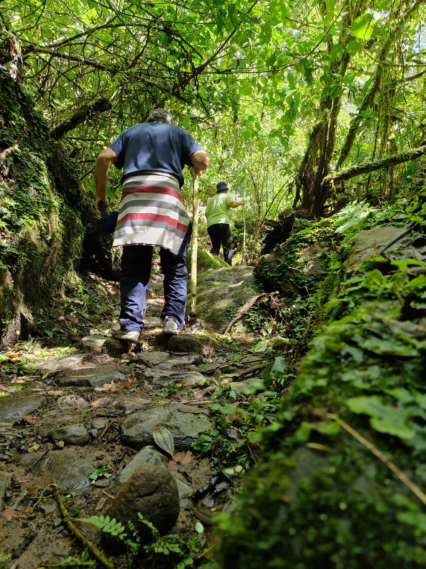 Boquete - The Lost Waterfalls
