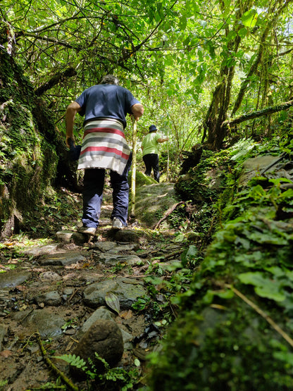 Boquete - The Lost Waterfalls