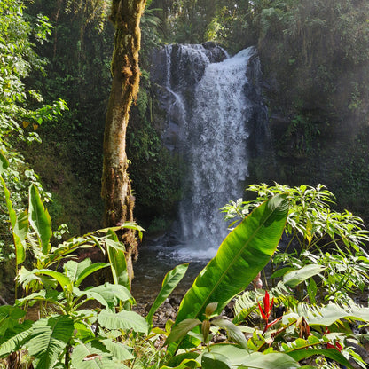 Boquete - The Lost Waterfalls