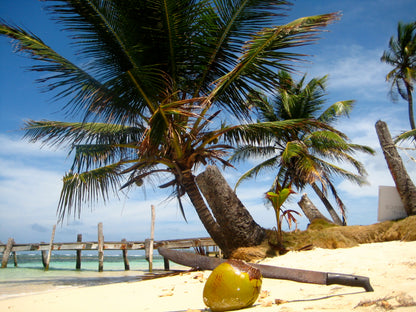 San Blas - Shared Cabin Isla Chicheme