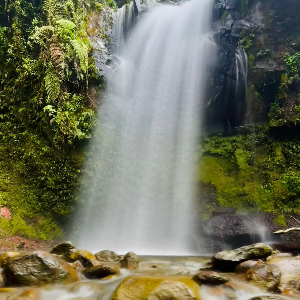Boquete - The Lost Waterfalls