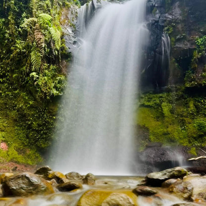 Boquete - The Lost Waterfalls