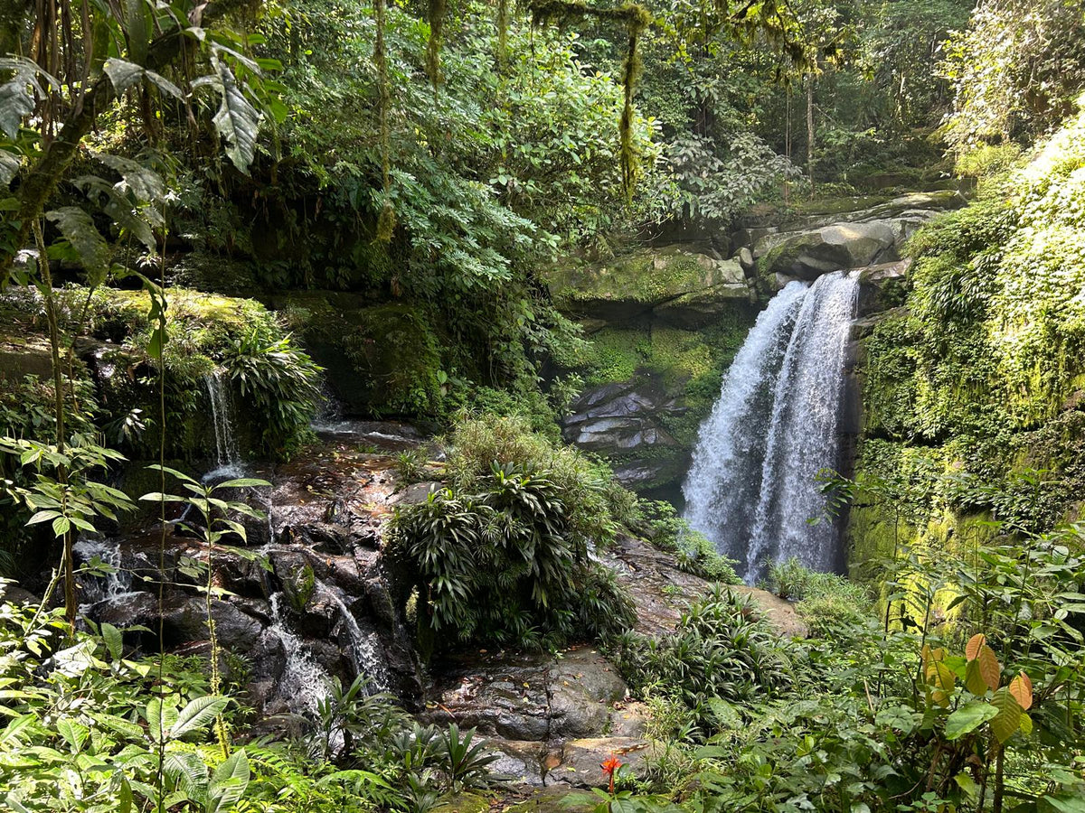 Klosay Waterfall &  Ngäbe-Buglé Indigenous Community Tour