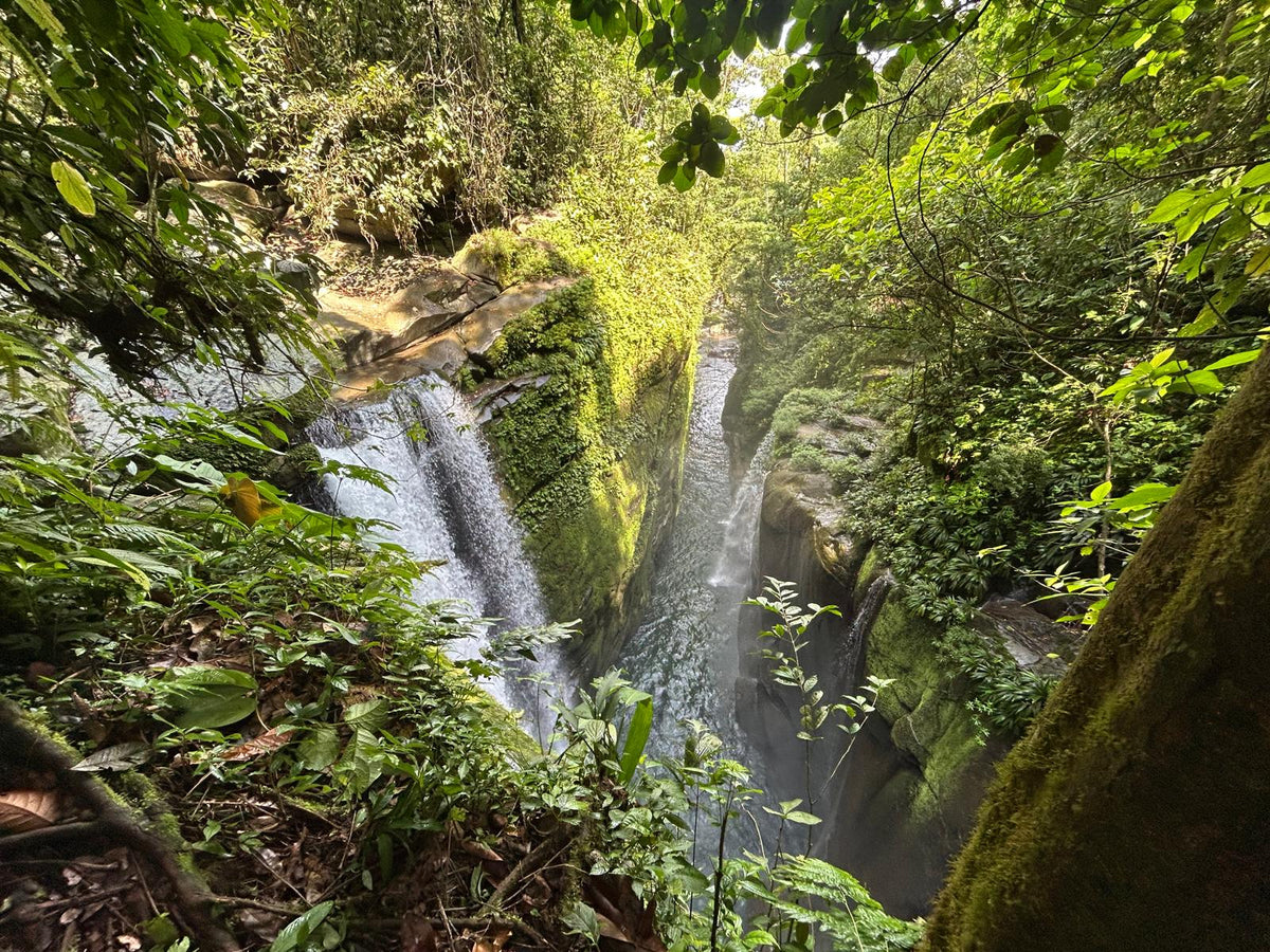 Klosay Waterfall &  Ngäbe-Buglé Indigenous Community Tour